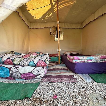 Muhra Camp Siwa Hotell Siwa Oasis Eksteriør bilde