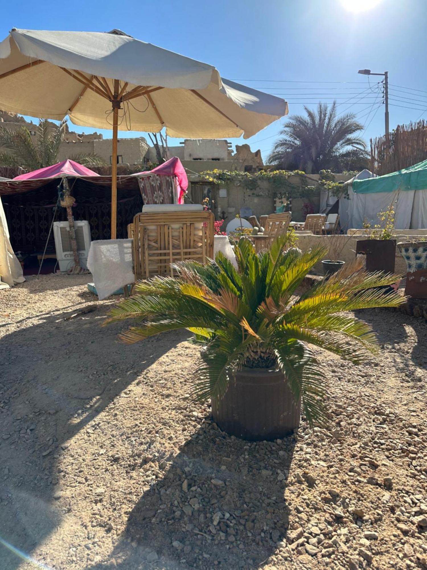 Muhra Camp Siwa Hotell Siwa Oasis Eksteriør bilde