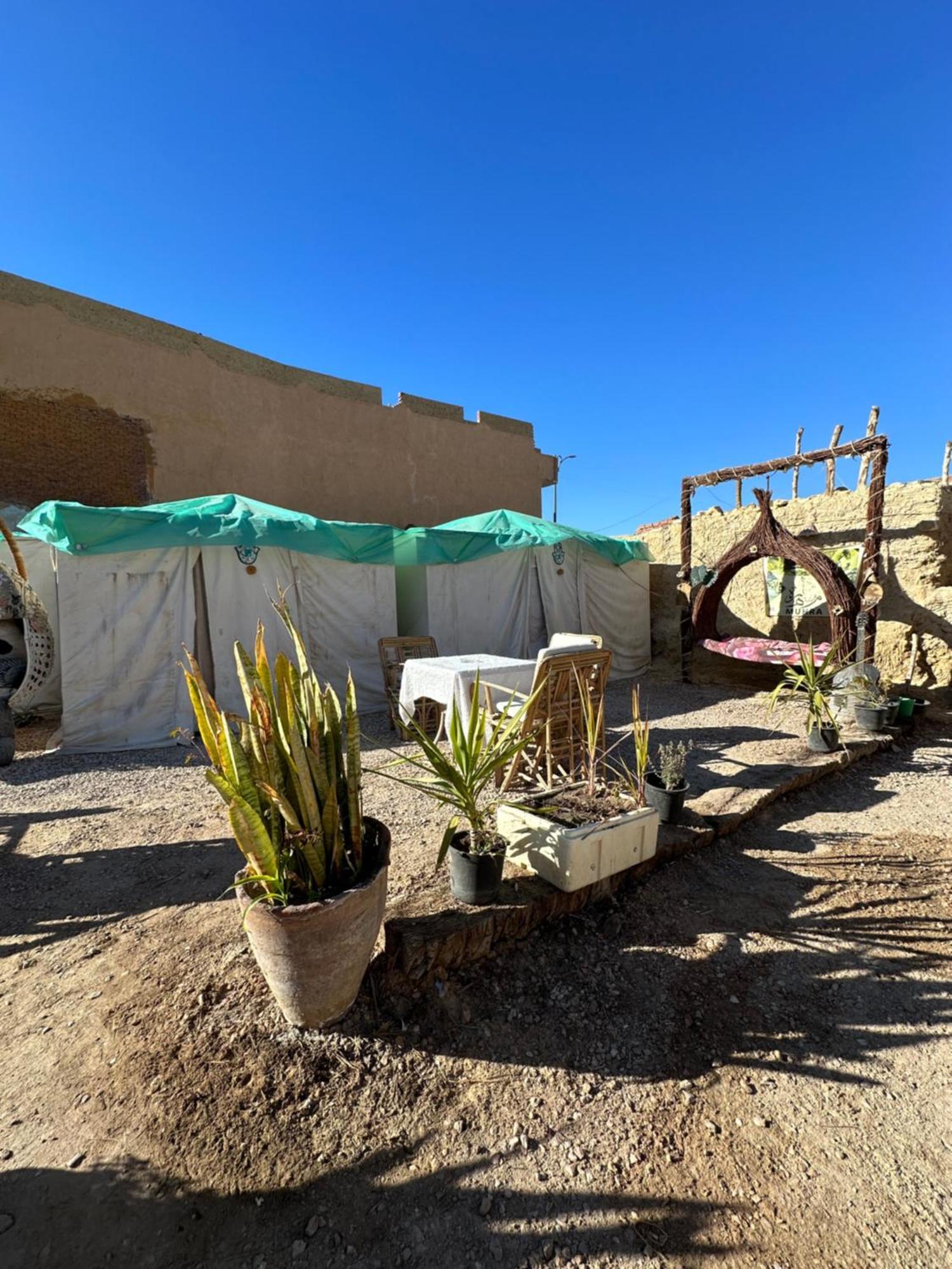 Muhra Camp Siwa Hotell Siwa Oasis Eksteriør bilde