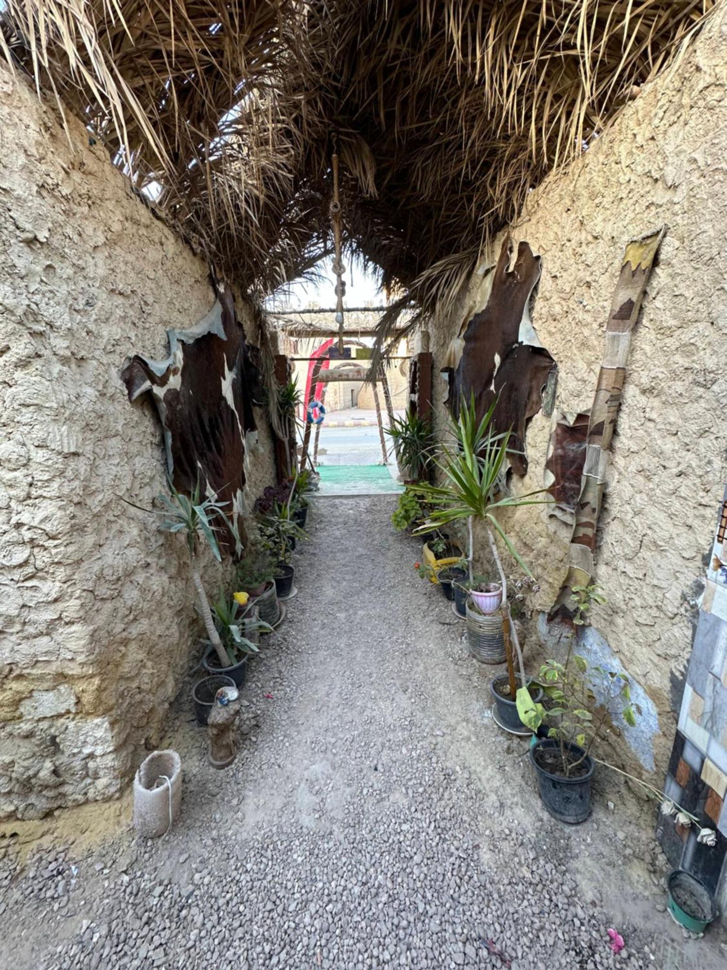 Muhra Camp Siwa Hotell Siwa Oasis Eksteriør bilde
