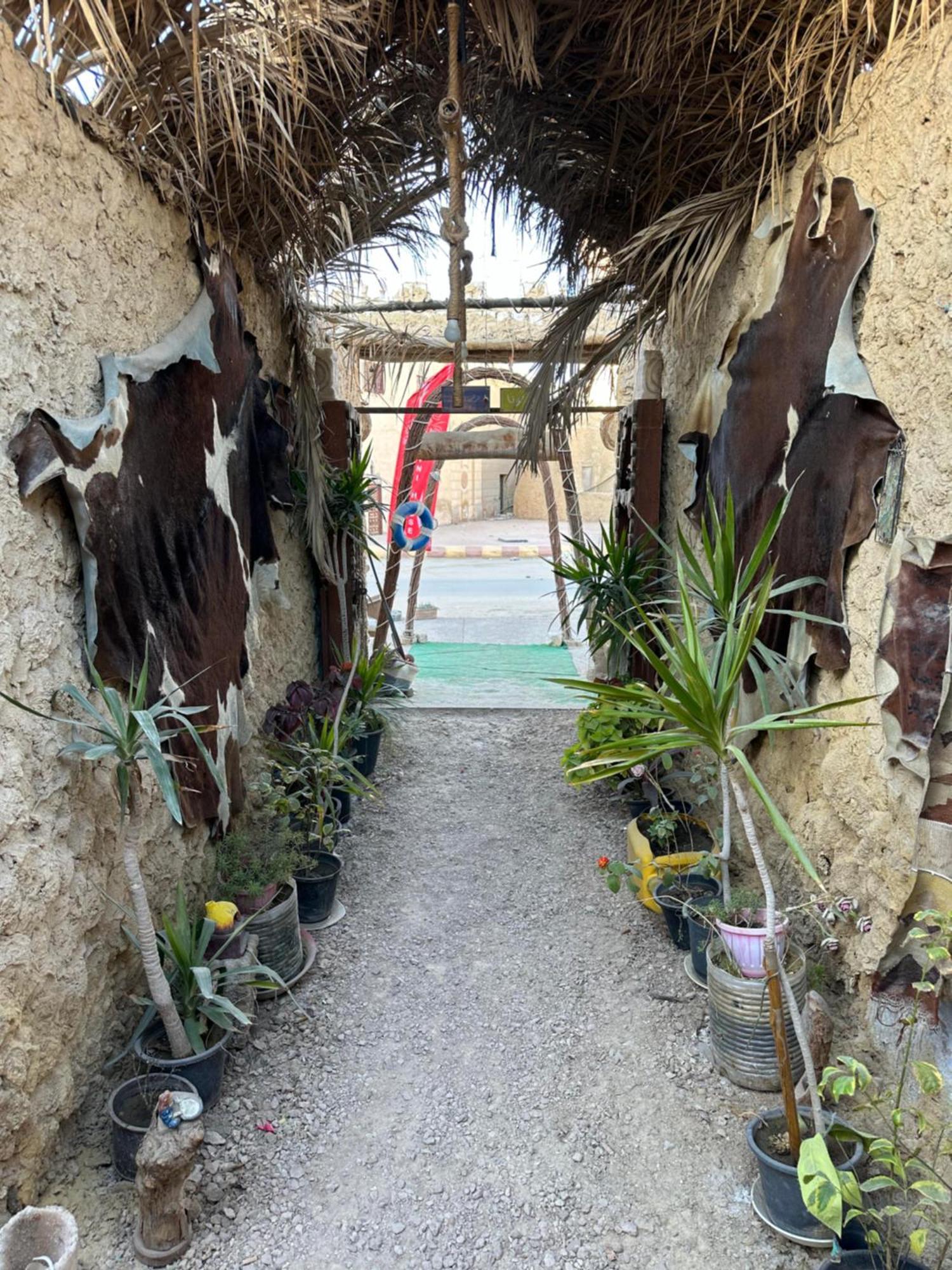 Muhra Camp Siwa Hotell Siwa Oasis Eksteriør bilde